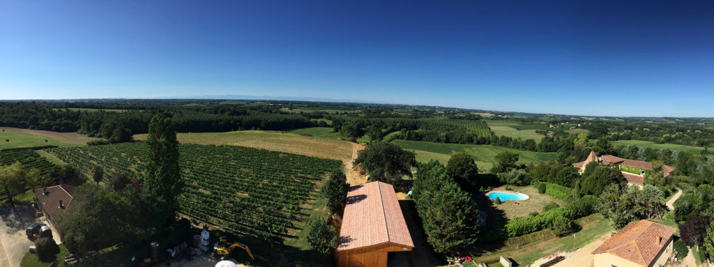 Chartreuse et vignoble
