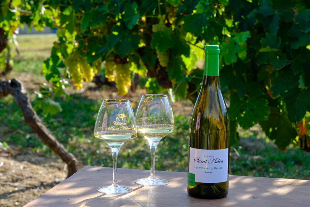 Vignes de BelAir
