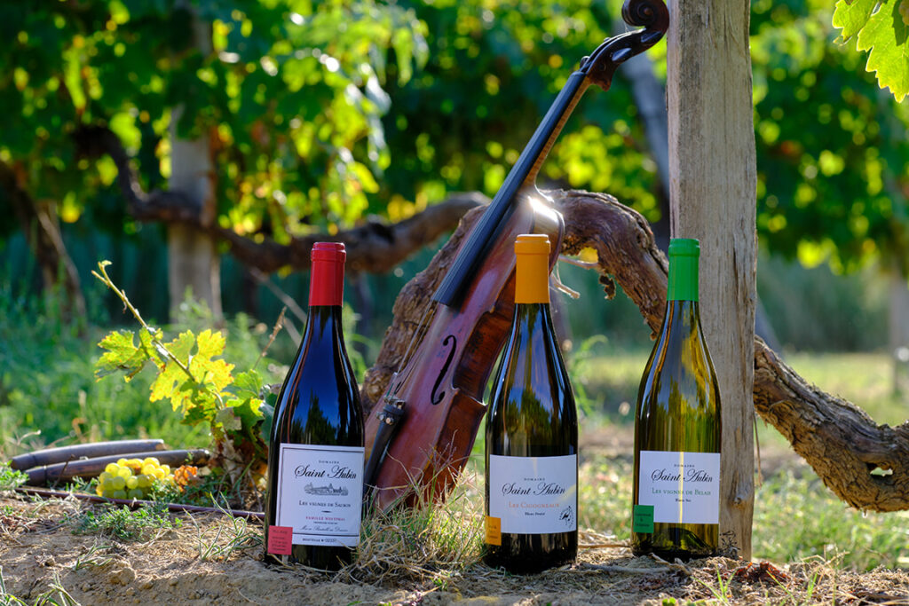 Vins produits dans le vignoble de Saint-Aubin