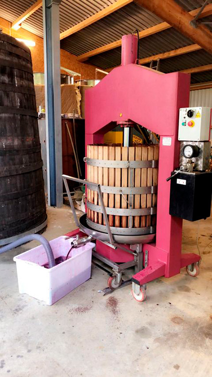 Vignes et vinification vin rouge