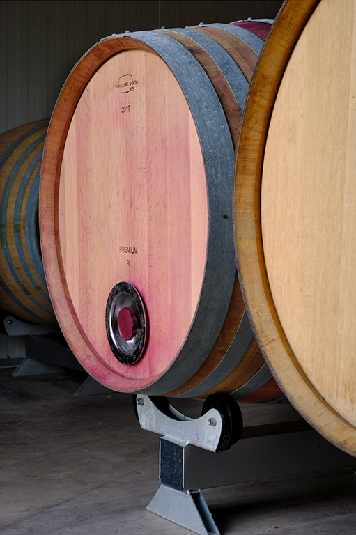 vigne et fermentation des baies de raisin rouge rouge