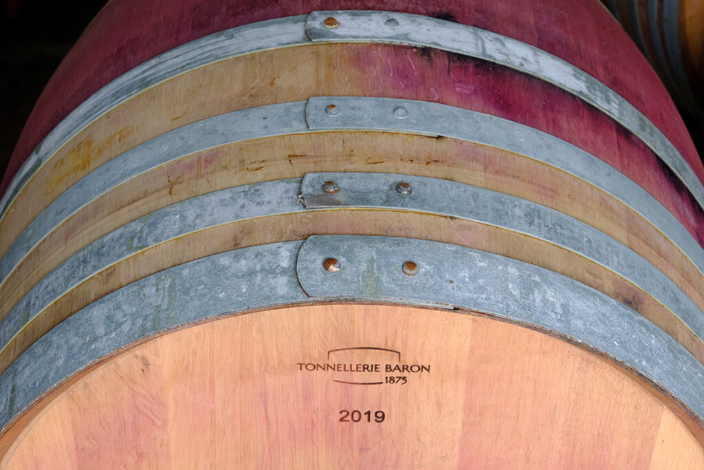 vigne et élevage du vin rouge