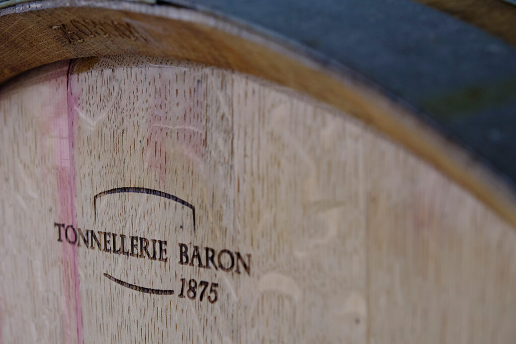 vignes et tonneau en chêne