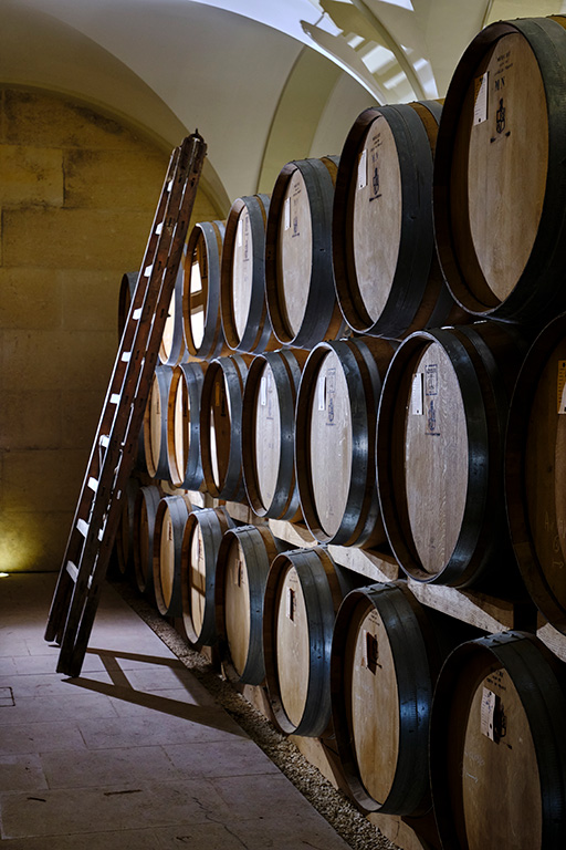 chai vignoble de Saint-Aubin